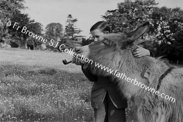 LINDEN NURSING HOME DONKEY WITH PIPE